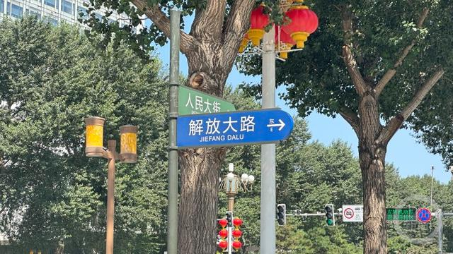 长春解放大路。   摄影/上游新闻记者 张莹