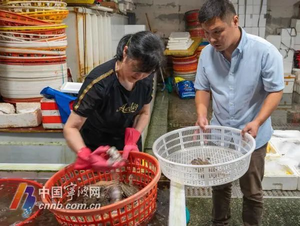 经营户在挑选梭子蟹。周宣羽/摄