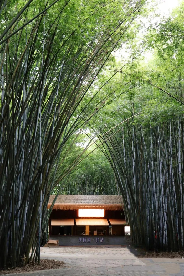 美鹤园村（央广网发  屯昌县委宣传部供图）