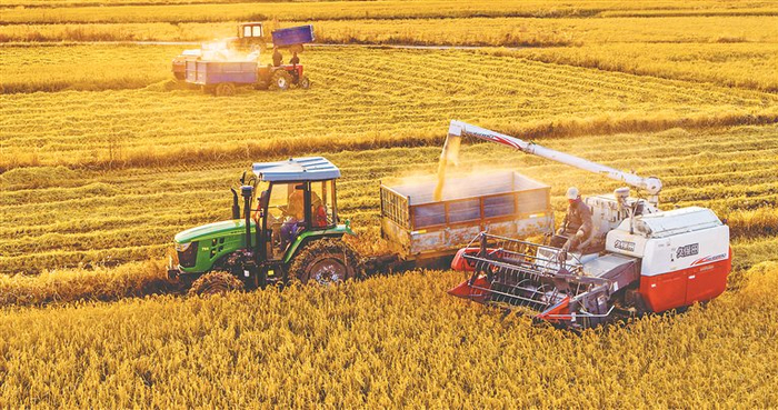     全程机械化秋收。本版图片均由桦川县委宣传部提供