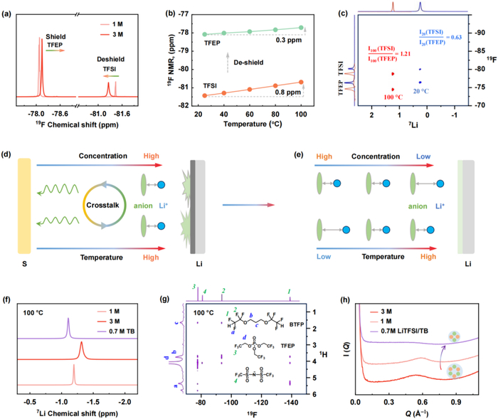 图4 电解质表征。