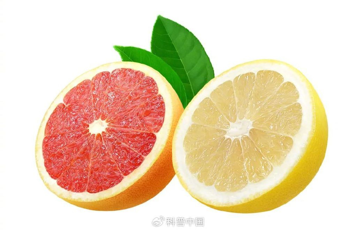 图库版权图片，转载使用可能引发版权纠纷