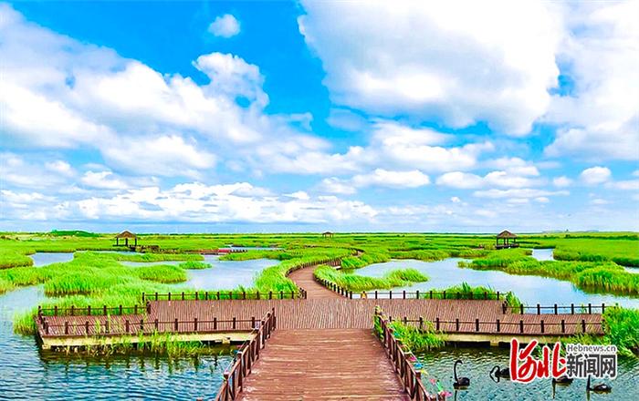 芦海迷宫 图片来自南大港产业园区文化旅游局素材