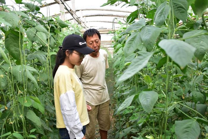   子玥在大棚里与种植户交流蔬菜生长情况。新华社记者 高松龄摄