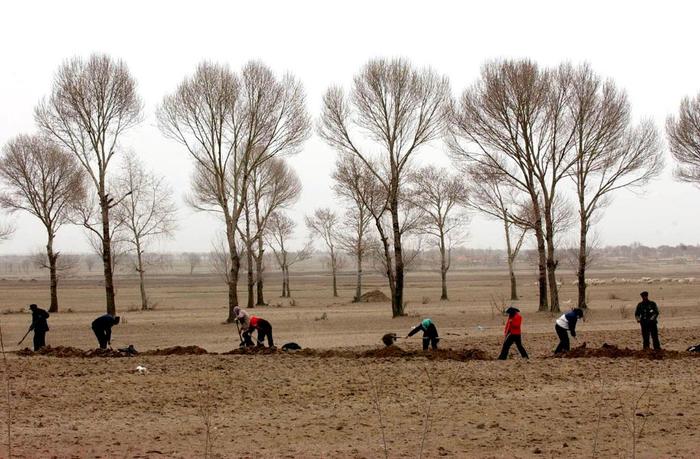 2002年4月，河北张北县郝家营乡农民在退耕还林的土地上植树（资料照片）。新华社记者 周文广 摄