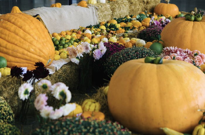 “上海辰山植物园”微信公号 图