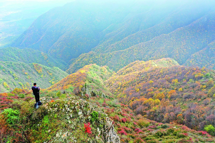 摄影爱好者在民和县南大山寻找流金秋韵。  通讯员 石延寿 摄