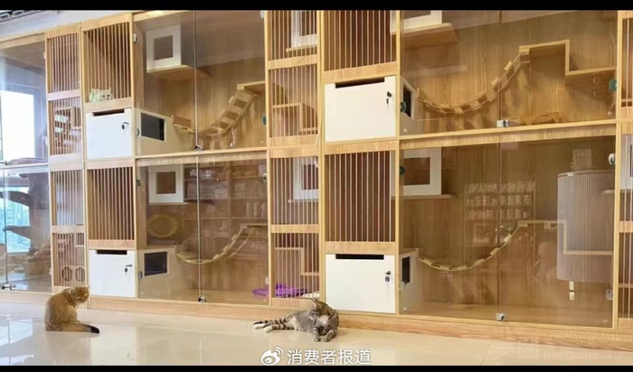 （广州体育中心某猫咪寄养酒店   图源：美团）