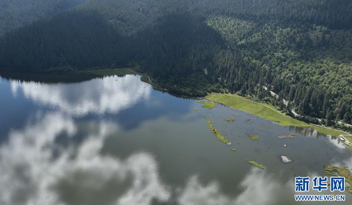 航拍普达措景区秋日美景（视频截图）。