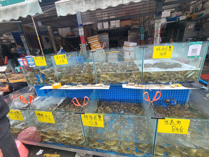 双流白家批发市场的大闸蟹