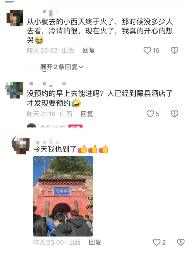 网友评论截图