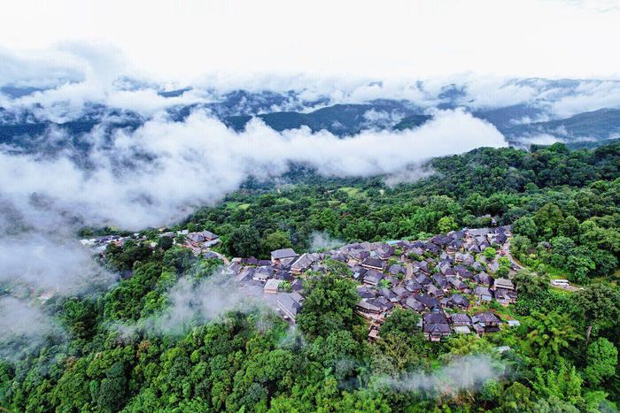 景迈山 胡妤雅 摄