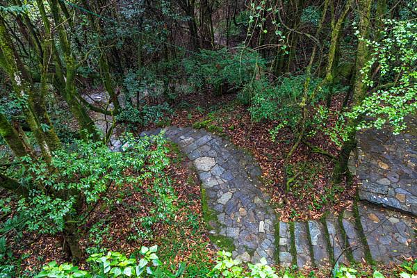 云南玉溪，哀牢山茶马古道景区/图源自视觉中国