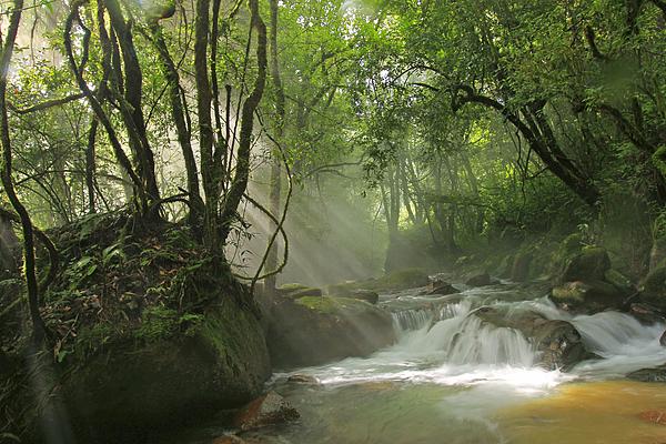 云南玉溪，沟壑纵横、景东县的哀牢山景色/图源自视觉中国