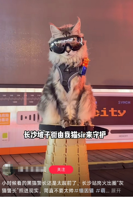 △图源/小红书截图