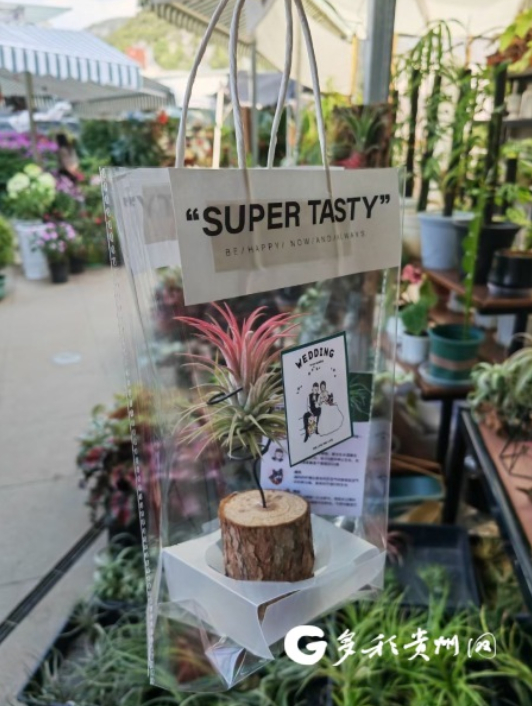 顾客将空气凤梨定制成专属婚礼伴手礼（受访者供图）