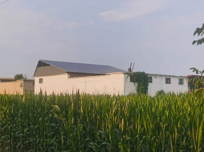 河北某村屋顶光伏。李未来/摄