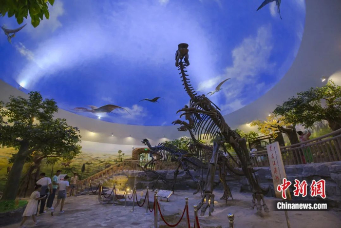 “黑龙江满洲龙”的化石骨架。嘉荫县委宣传部供图