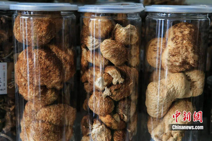 嘉荫县猴头菇。嘉荫县委宣传部供图