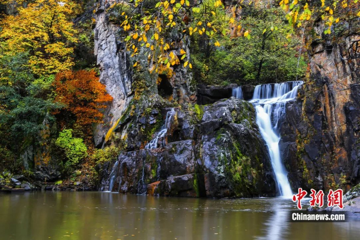 茅兰沟国家森林公园。嘉荫县委宣传部供图