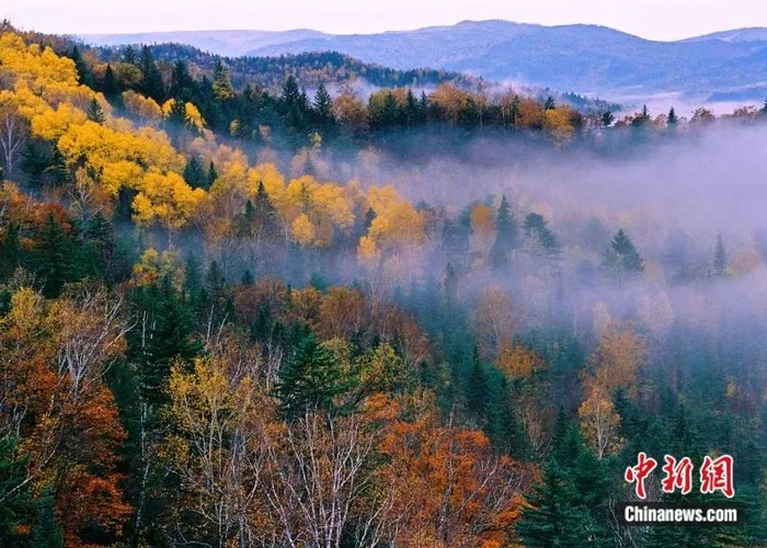 金秋时节，嘉荫县五花山色醉游人。嘉荫县委宣传部供图