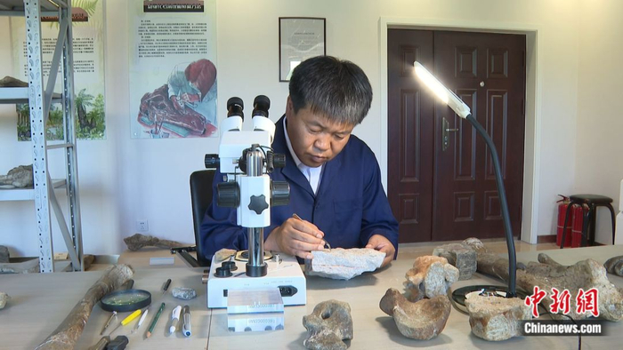 化石修复师沈凤斌正在修复恐龙化石。嘉荫县委宣传部供图