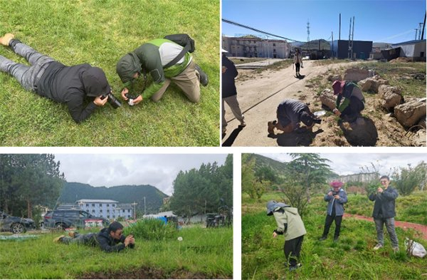 高校科研小组在高原拍摄植物。 受访者供图