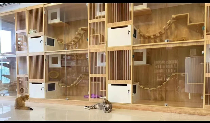 （广州体育中心某猫咪寄养酒店 图源：美团）