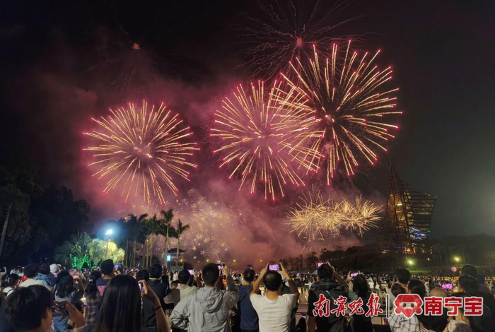南宁园博园璀璨烟花。 记者 黄敬敏 摄
