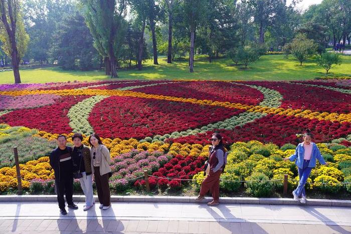 游客在国家植物园花海拍照留念。北京市公园管理中心供图