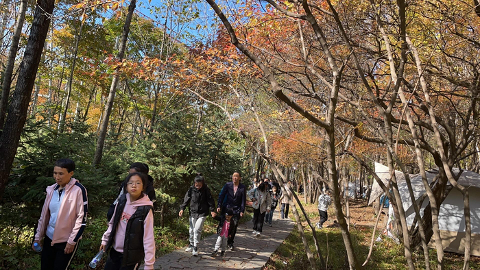 五花山色