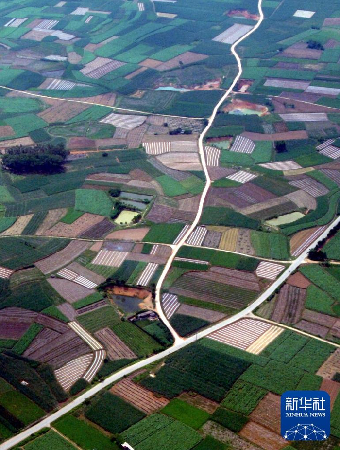 2007年6月24日在广西百色农村上空拍摄的乡村公路。