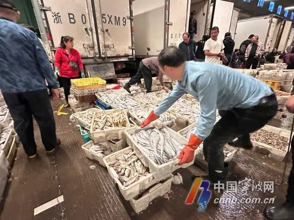 路林水产批发市场交易场景。何晴/摄