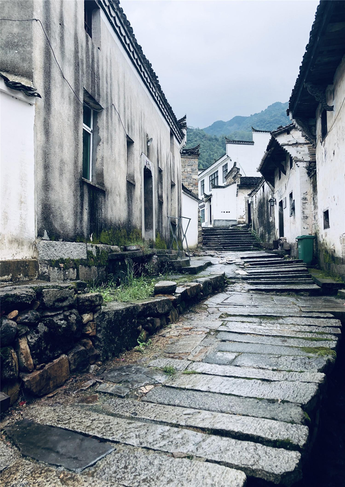 石门村的石板路. 本报通讯员 桂陈敬 摄