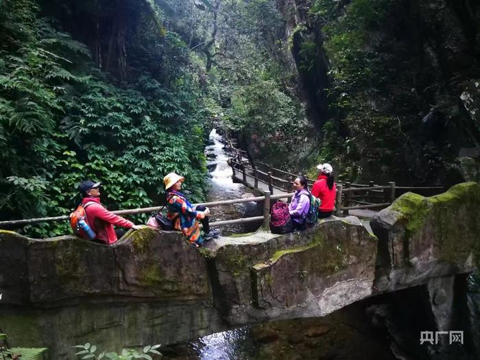 游客在哀牢山景区内游玩（央广网发 李媛 摄）