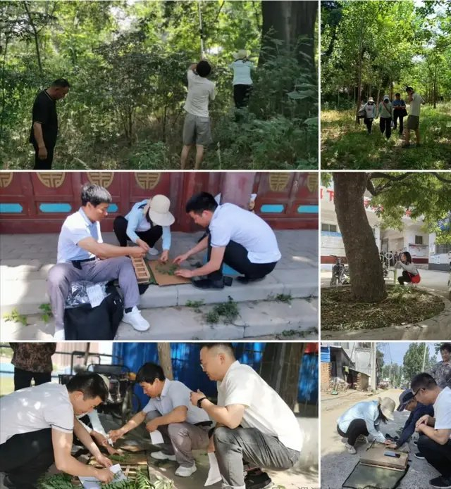 漯河市林草种质资源收集队正在工作中。