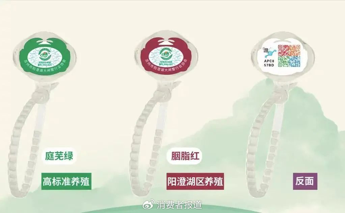 △来源：苏州市阳澄湖大闸蟹行业协会