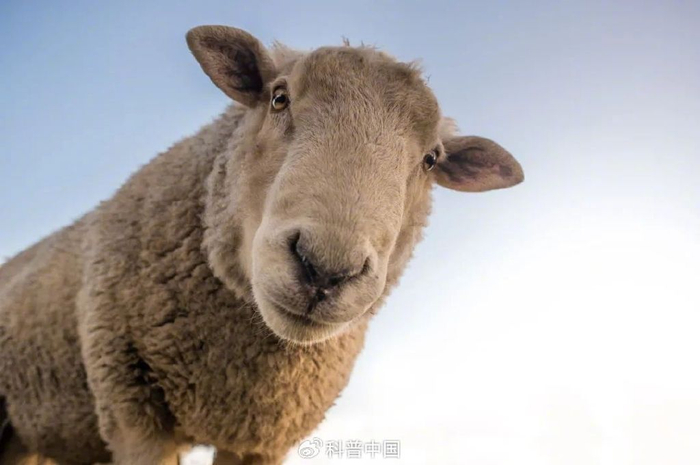 图库版权图片，转载使用可能引发版权纠纷