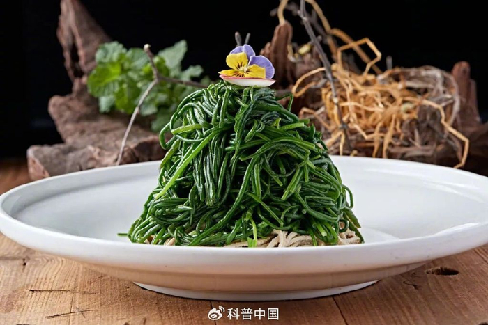 图库版权图片，转载使用可能引发版权纠纷