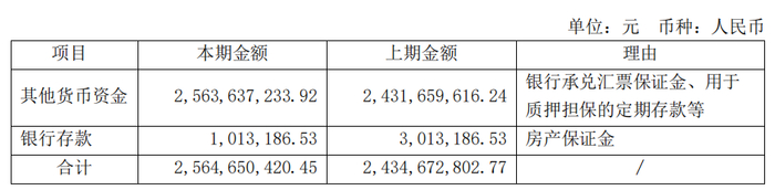 图 / 公司2024上半年货币资金明细