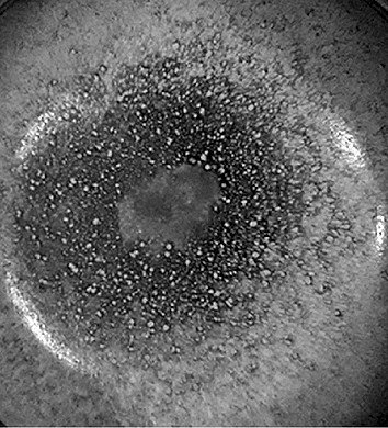     图5 钧窑茶盏局部