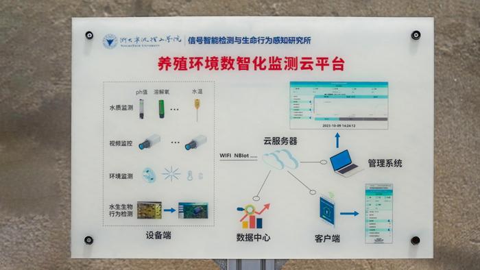 孙思志养殖场配备的养殖环境数智化监测云平台原理展示图（俞烨 摄）