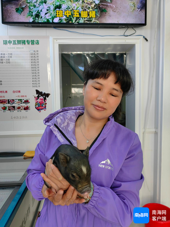 韦秀芳手捧刚孵育出的小五脚猪。通讯员 吴丽娟 摄