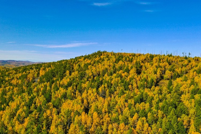 阿尔山市国家森林公园。（摄影：刘宇）