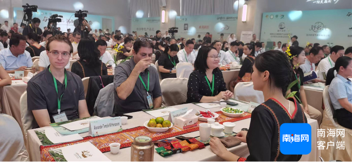 国外友人在参加海南雨林大叶茶全球品鉴招商大会。记者 梁振文 摄