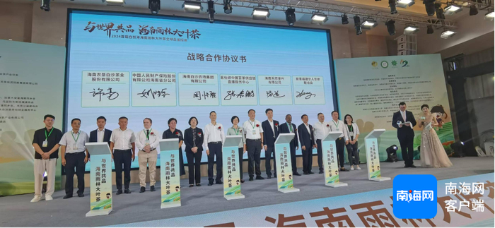 海南雨林大叶茶全球品鉴招商大会签约仪式。记者 梁振文 摄