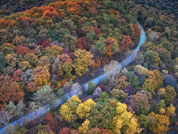大亮子河国家森林公园五花山色