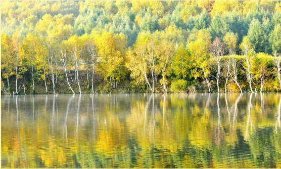 七彩森林景区。图源承德文旅