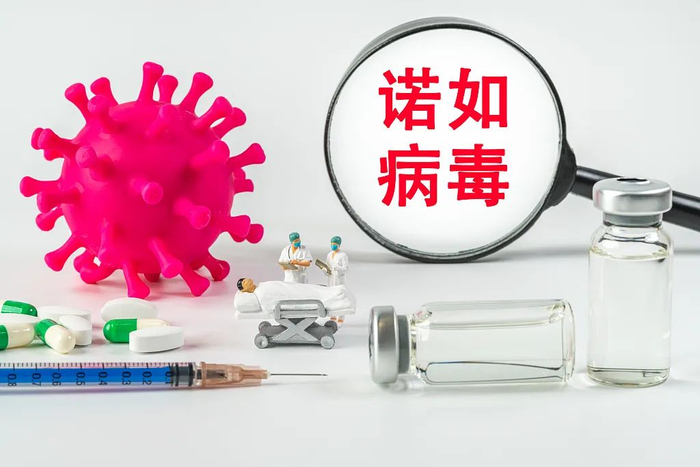 图源：视觉中国