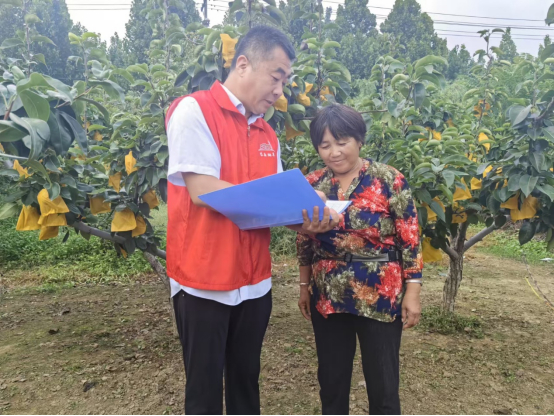 图为志愿者深入果园开展调研